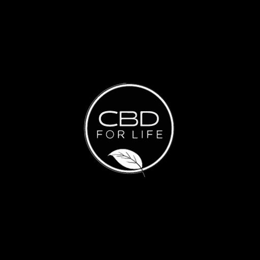 cbd for life case study featured image showing google analytics results